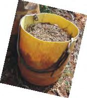 Ugomba gukoresha ibiro bitanu (5kg) buri mwaka ku giti gito, n'ibiro bigera kuri cumi (10kg) by'ifumbire y'imborera buri mwaka ku giti gisarurwa.