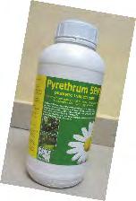 African Chrysanthemum Mililitiro 45 z'uwu muti ukozwe mu bireti zivangwa na litiro