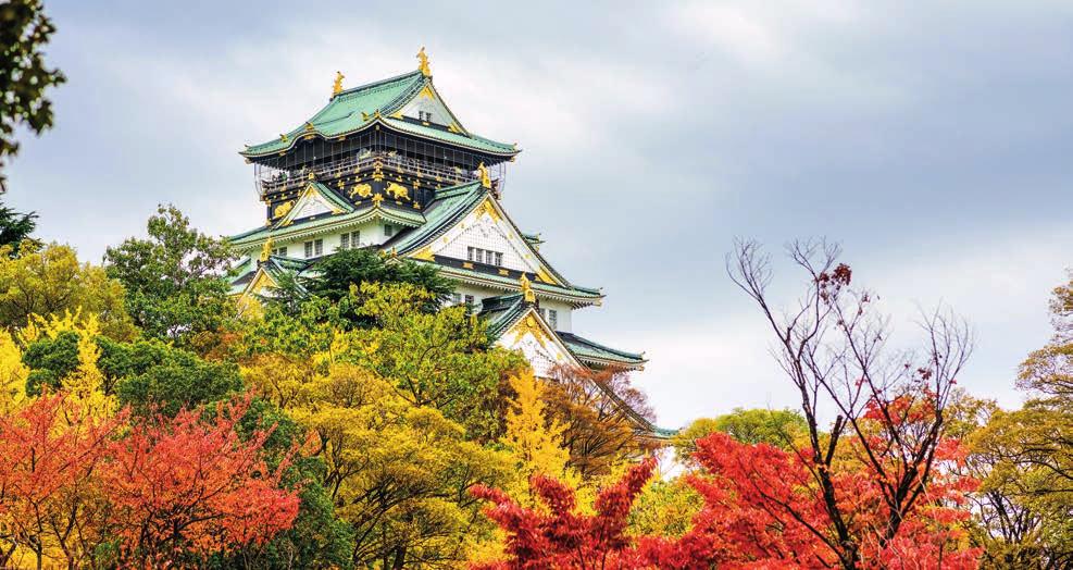 fall foliage cruises from japan Sweeping landscapes are ablaze in colors as you admire all that autumn has to offer.