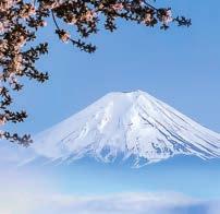Tranquil waters can deliver you to more than 10 UNESCO World Heritage Sites, including the shrines of Kyoto, the impressive Mt. Fuji and the inspiring Botanical Gardens.