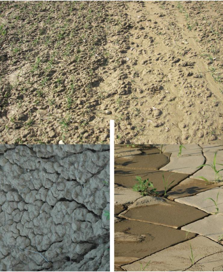 Omejevanje površinskega premeščanja FFS v vode Razlika v učinku intenzivnega dežja na površino grobo (levo)