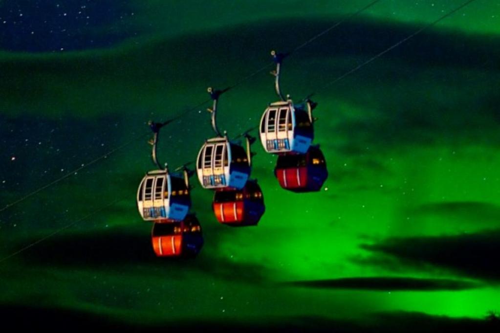 Tonight enjoy dinner at the Hotel before pick up for a night of Northern Lights hunting.