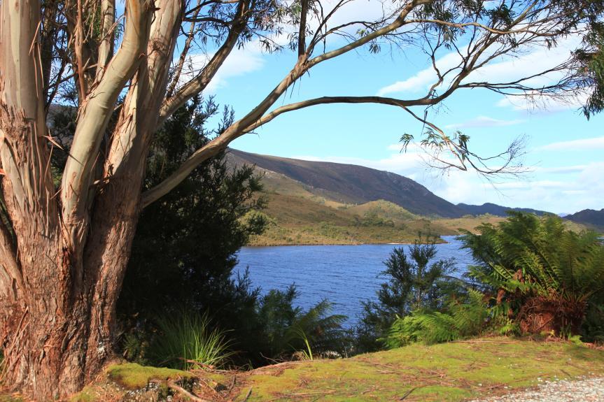 We realised at some point during our visit out here that there was a nice restaurant back at Strathgordon and so we called in there on our way back and had a lovely lunch with a view of Lake Pedder.