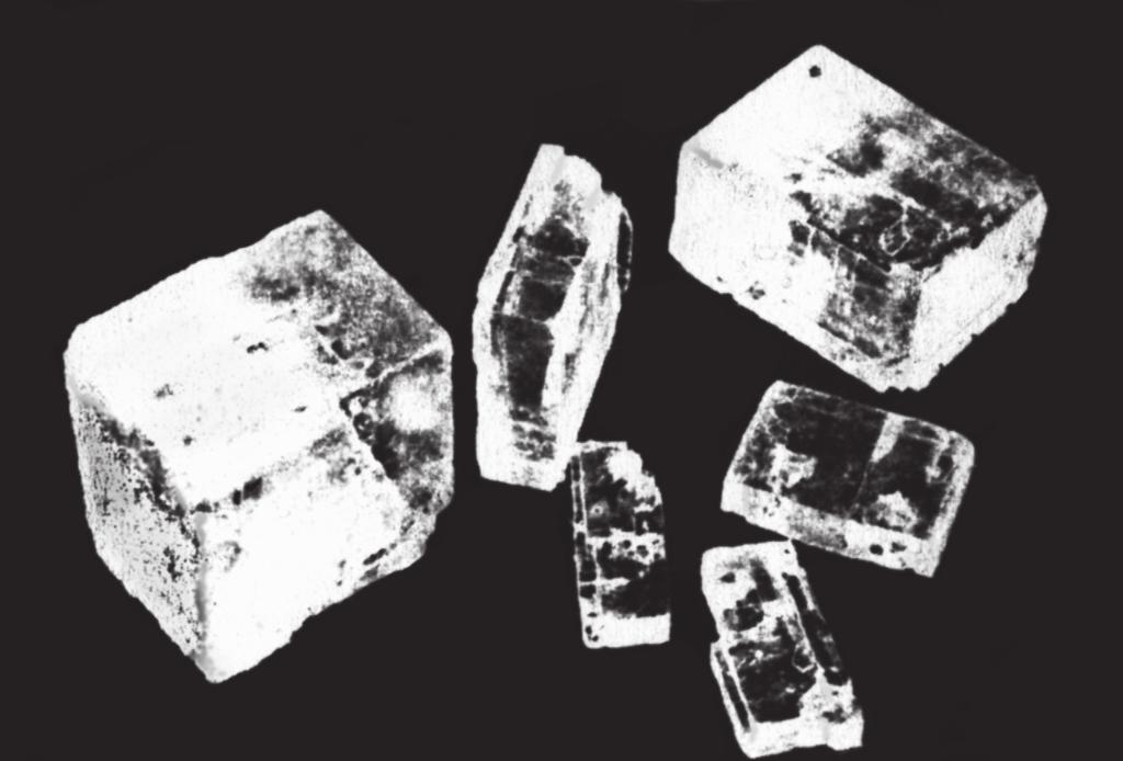 sediman ki konpoze ak mineral potasyòm feldspa, kwats, ak anfibòl? (1) gabro (3) andezit (2) granit (4) bazal Sèvi ak foto anba a pou reponn kesyon 23 ak 24.