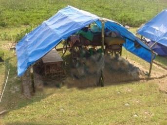 The ability to thatch the roof of their shelter means they do not have to wait for relief tarpaulins to be delivered but can build their own temporary shelter in the meantime.