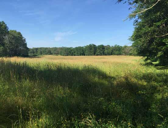 org Tiverton Open Space and Land reservation Commission, a Town Council appointed volunteer commission, is tasked to preserve and steward natural habitats and farmland in Tiverton.