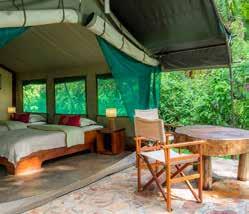 RUZIZI TENTED LODGE In the riverine forest on the edge of Lake Ihema is a small, private, lodge offering nine spacious, en-suite tents, dotted along the