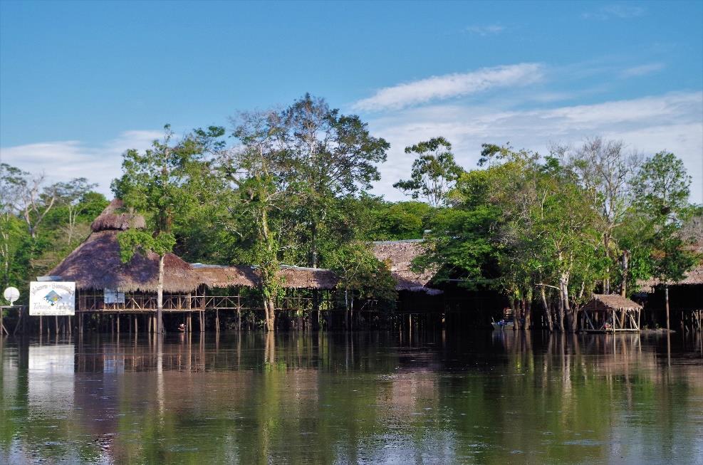 Feral Human Expeditions Presents Peru: A Lodge Based Jungle Experience Amazonas, Peru Have you ever wanted to experience the awe