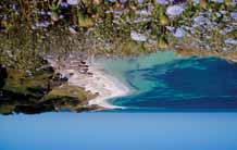 of Perth and Swan Valley day tour; Rottnest Island, ferry bike and snorkel package, accommodation not