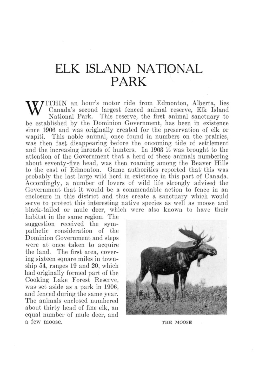 ELK ISLAND NATIONAL PARK WITHIN an hour's motor ride from Edmonton, Alberta, lies Canada's second largest fenced animal reserve, Elk Island National Park.
