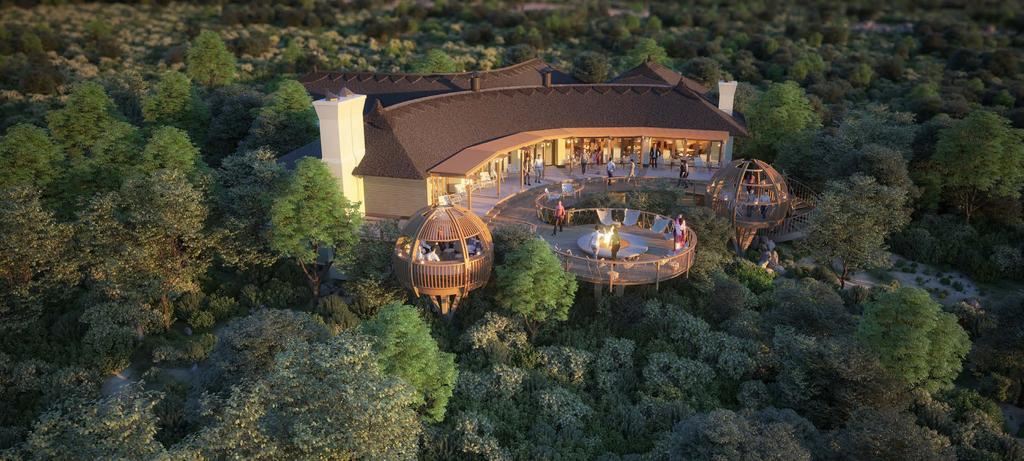 DSA Safari Lodges & Game Resorts Concept
