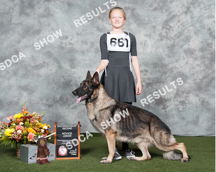 Novice Junior German Shepherd Dog Club of America Junior Showmanship Classes JUNIOR SHOWMANSHIP 667 2 nd Jhanna Bailey 98368589003 CH HYLOCK'S SHO DN30769702.4/13/2011 -- Dog Breeder: Jerry D.