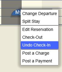 Undo Check-in After Checkin it may be necessary, for a variety of reasons, to undo the check-in.