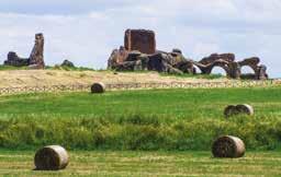 14) Sette Bassi Villa The Sette Bassi Villa is the largest villa in the Roman suburbs after the Villa of the Quintilii (Itinerary 2), with so great an expanse of ruins as to be considered a city in