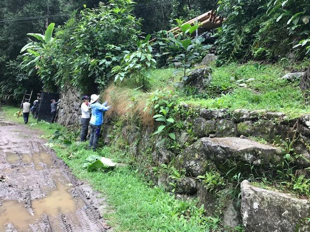 Machu Picchu November 2018 Volunteer Trip Report Page 3 Volunteers cleaning the Inca Wall near the museum During the trip, ConservationVIP donated equipment to help with the management and protection
