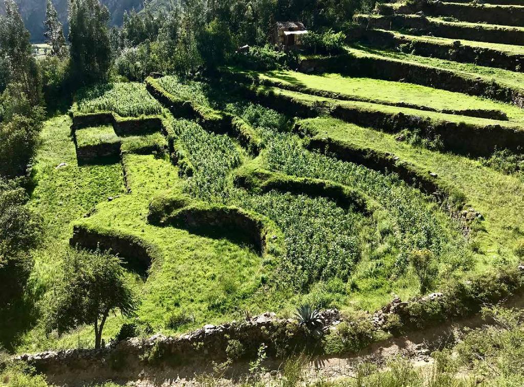 In a softer activity, explore Ollantaytambo s maze-like streets, and all the magic of this ancient living town.
