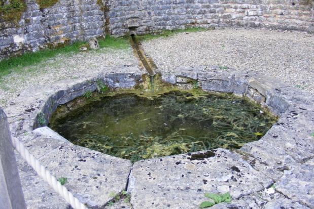 It is hoped to display them in the future when funds can be secured to build protective buildings. Pool filled by trickle from natural spring in the hill side.
