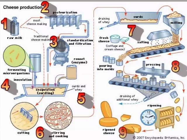Proizvodnja sira Proizvodnja većinesireva Pasterizacija Cijeđenje sirutke gruš usitnjavanje Sirovo mlijeko Tradicionalna proizvodnja Standardizacija i filtracija Svježi sir Cottagge soljenje