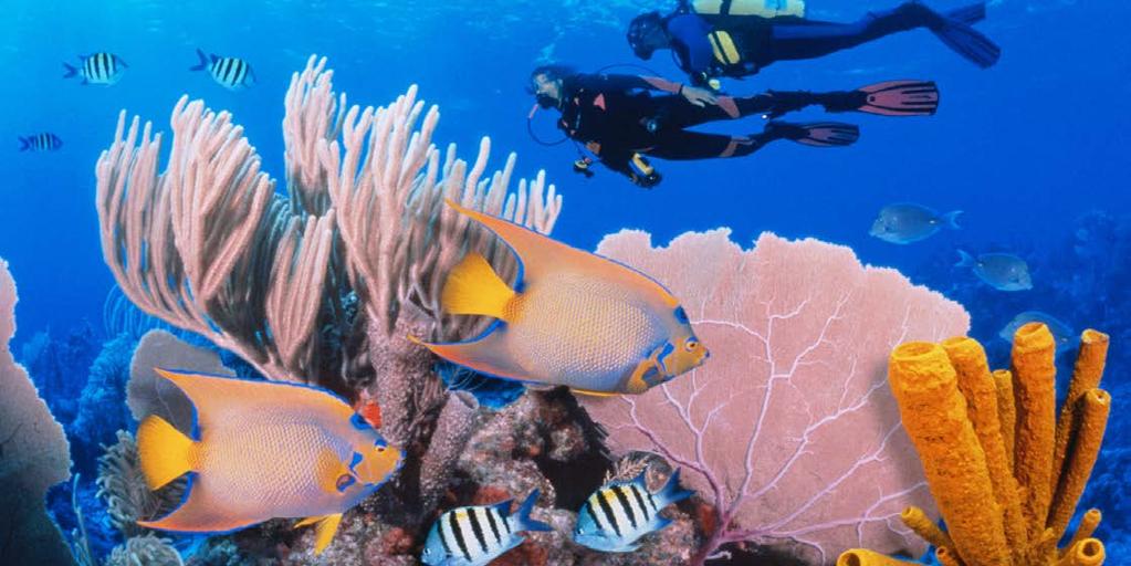 Belize See the underwater sights in Belize. (Photo: Getty Images) You ve probably been to Mexico, but what about its southeastern neighbor, Belize?