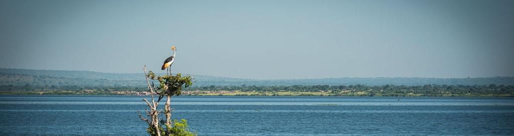 Park and Lake Mburo will give you the best possible chance of viewing the Big 5.