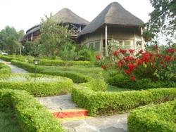 ug/ Kibale Guest cottages is located adjacent to Kibale National Park in Western Uganda and offers a spectacular views of the tropical forest, a few hundred meters from the Park's main tourist centre
