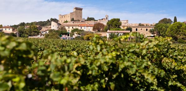 Tour of the castle of Châteauneuf du Pape and trip in the village s streets.