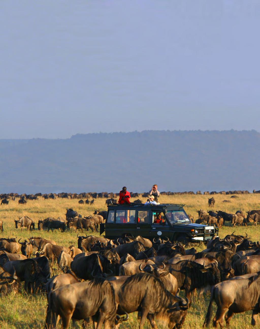 DAYS 10-12 REKERO CAMP MAASAI MARA GAME RESERVE DAYS 10-12 Rekero Camp Rekero Camp/Asilia Africa Maasai Mara Game Reserve One of Africa s most legendary national parks, the Maasai Mara is in the