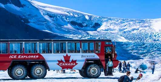 Tour Highlights Breathtaking Landscapes, Historic Train Adventure & Magnificent Beauty Courtesy of Glacier Adventure Columbia Icefield Glacier