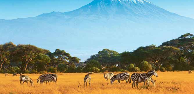 17 DAY BUCKET LIST TOUR KENYA & TANZANIA $7999 PER PERSON TWIN SHARE TYPICALLY $10399 MASAI MARA AMBOSELI TARANGIRE ZANZIBAR DUBAI THE OFFER Journey into the heart of Africa on this exotic 17-day