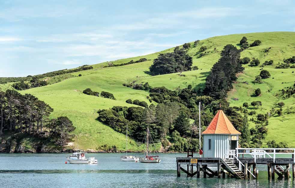 amaze Akaroa, with its distinctive French flair, is a popular destination on the eastern shores of New Zealand s South Island.