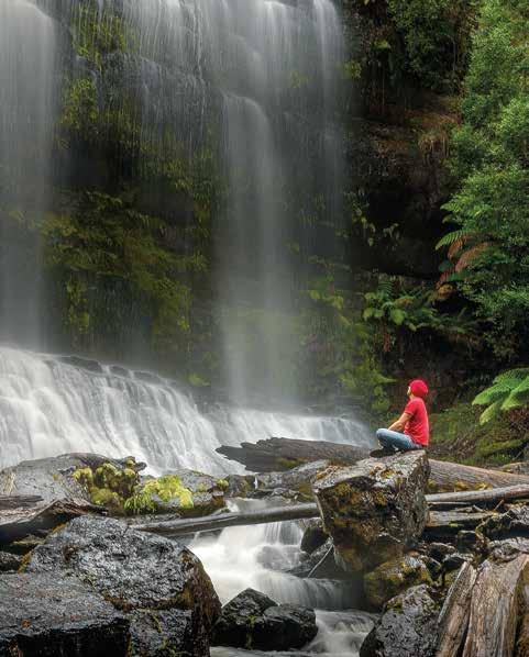 gaze One of Tasmania s most treasured places, Russell Falls is the centerpiece of Mount Field National Park.