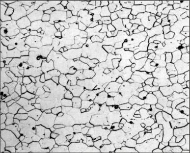 2.1. Feritni čelici Feritni čelici sadrţe 13 % 17 % Cr i < 0,1 % C te imaju feritnu mikrostrukturu bez sposobnosti fazne transformacije i usitnjenja zrna (Slika 1) [6]. Slika 1.