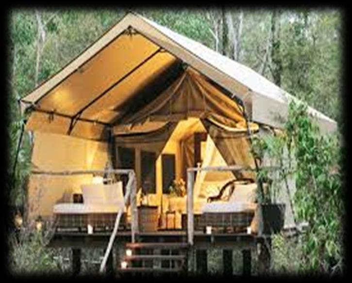 Glamping glamorous camping To provide bird watchers and