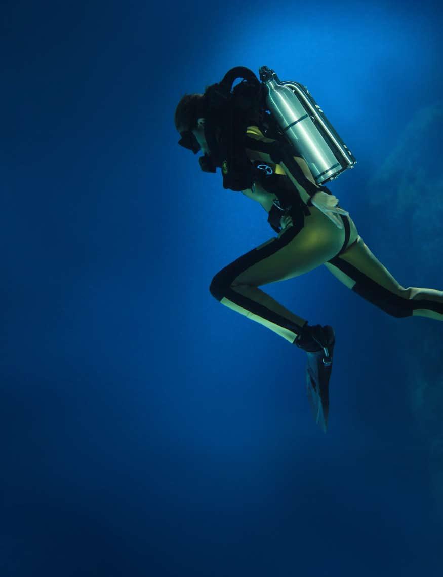 Divers from different teams and Ocean Discovery have already logged hundreds of hours underwater in order to photograph the