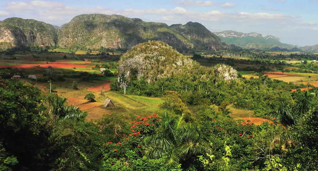 The sweeping scenery of Viñales Valley There is only one Cuba. This vivacious tropical island with music throbbing through its veins has a vivid history and a unique health care system.