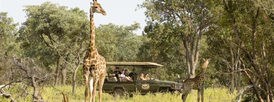 ITINERARY 1: 10 DAY 5 STAR SAFARI Day 1 Australia Johannesburg, South Africa Today depart from Sydney, Melbourne, Brisbane, Adelaide or *Perth for Johannesburg, South Africa!