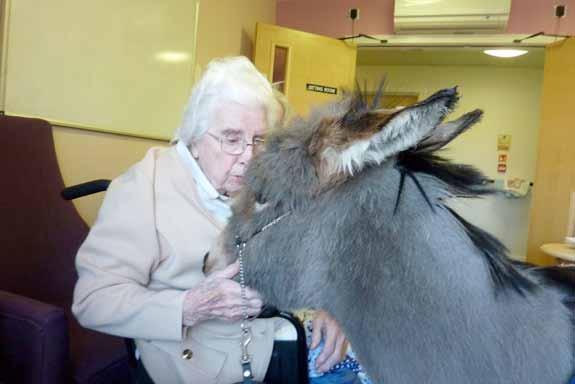 This time Caroline brought a two year old miniature donkey called Mr Kipling.