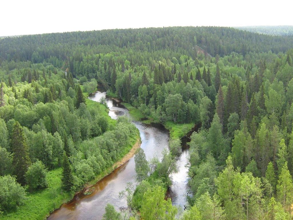 Protection of Intact Forests in the Barents