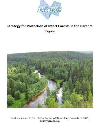 2018-06-29 Naturvårdsverket 5 Swedish Environmental Protection Agency Time line - 2011 Starting the work with Strategy - 2013: 11 th Ministerial meeting in Inari called for finalization of a strategy