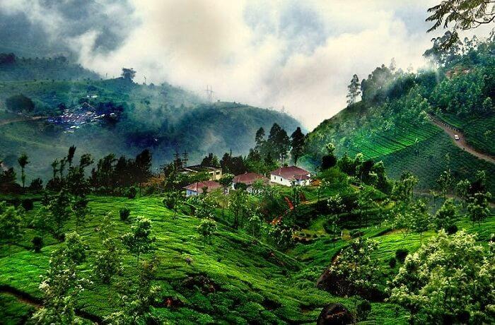 The picturesque hills are covered by spice plantations and coffee estates and provide good trekking opportunities.