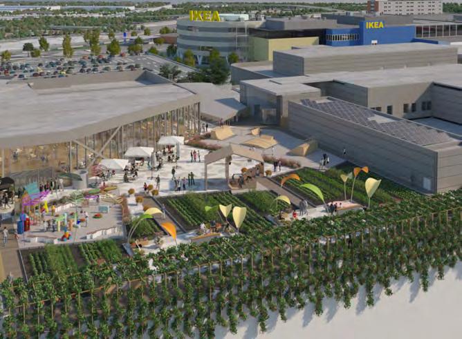 attract visitors from a large region, and the iconic first IKEA store