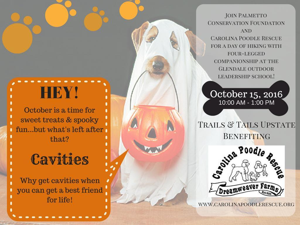 Trails & Tails Upstate What better way to welcome Fall than with a walk along the beautiful Glendale Shoals Trail with some very deserving furry friends!