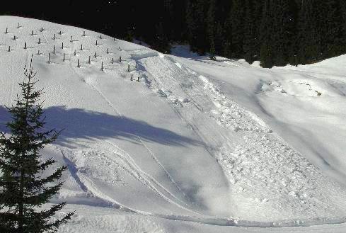 6 PREVENTION OF SNOW GLIDING In contrast to avalanches, the snow glide hazard on a hillside can be mitigated by relatively simple structural measures that prevent snow gliding. 6.