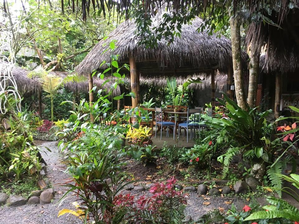 Day 7 (B, L) - On the morning of day 7, we head to Mindo to explore a hummingbird greenhouse and a social enterprise dedicated to chocolate and sustainability - We will reside overnight at an 100%