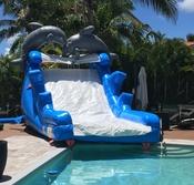 $235 16' DOLPHIN PARADISE (12 x 17') - This is the classic slide for people who want a slide to go straight into their