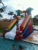16' TROPICAL PALMS WATERSLIDE (10'W x 25L) Have length, but