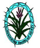 THE CALOOSAHATCHEE BROMELIAD SOCIETY November Meeting Sunday, Nov. 18th Dec Holiday Party-- Sunday, Dec. 16th Our meeting place is the Ft. Myers Lee County Garden Council Building 2166 Virginia Ave.
