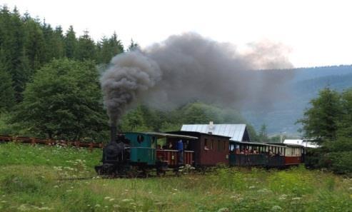 historical forest railway, enjoy a beautiful countryside, enchanting nature and a whistling