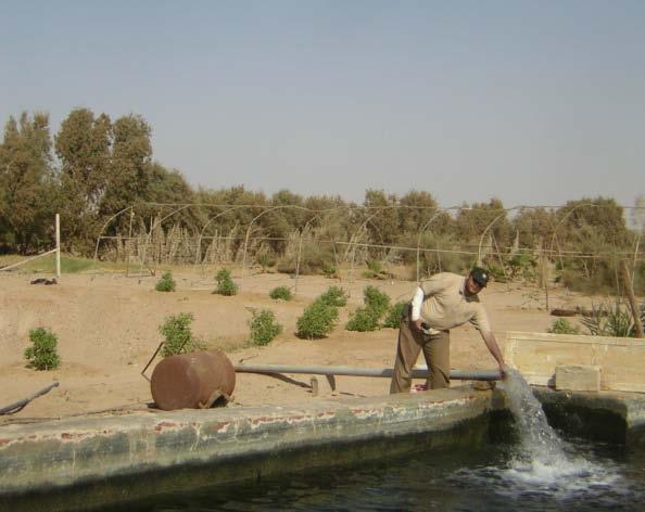 2012) Groundwater well in Sahl El Qaa (By  2012)