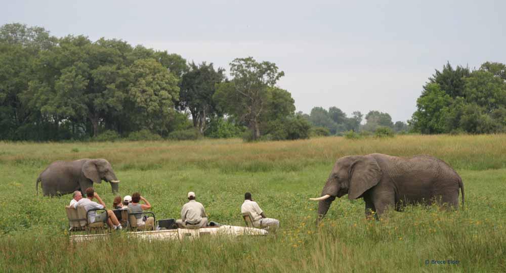 Kwara Camp, Okavango Delta for 4 Nights Kwara Camp is located within one of the largest (almost half a million acres) private concession areas in all of Botswana, and it is also one of the